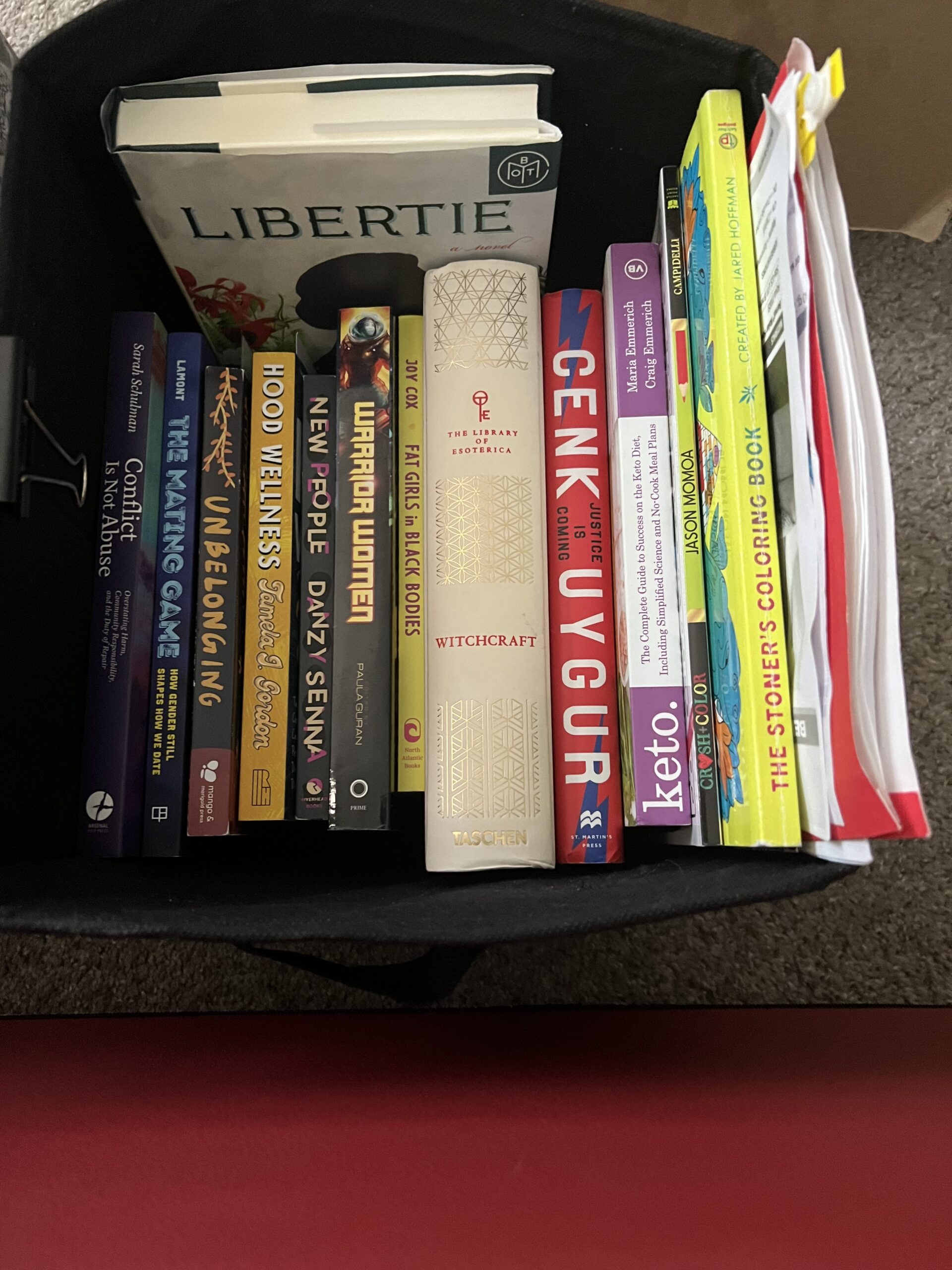My Bedside Bin August 2024. Image shows books lined, spines facing up, in a black collapsable bin,